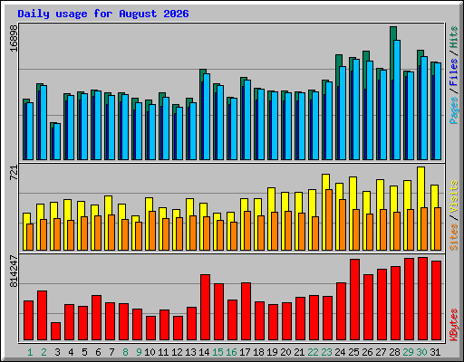 Daily usage for August 2026
