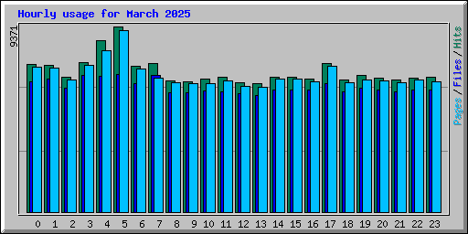 Hourly usage for March 2025