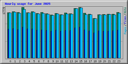 Hourly usage for June 2025