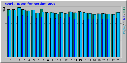 Hourly usage for October 2025