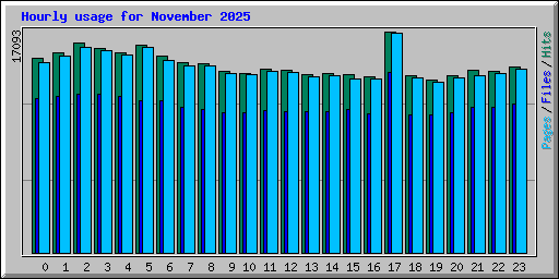 Hourly usage for November 2025