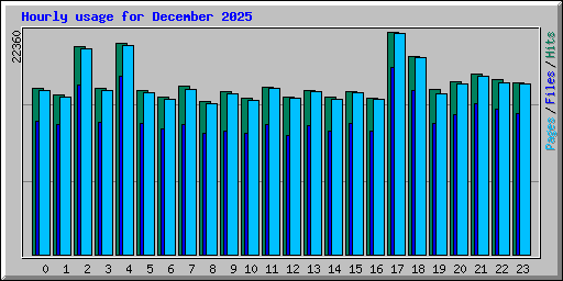 Hourly usage for December 2025