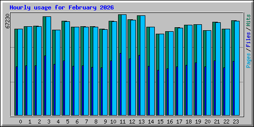 Hourly usage for February 2026