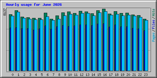 Hourly usage for June 2026