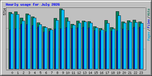 Hourly usage for July 2026