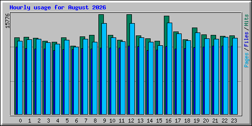 Hourly usage for August 2026